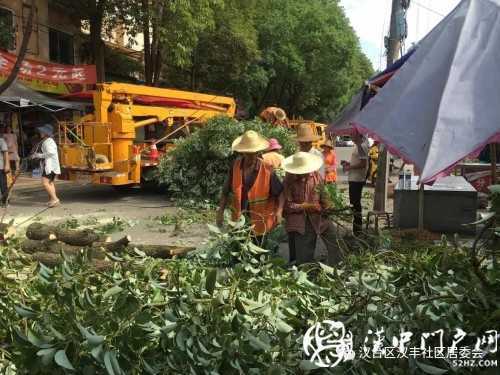 漢中市區(qū)一棵10米大樹(shù)突然傾倒，刮倒高壓線，所幸無(wú)人傷亡