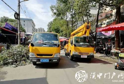 漢中市區(qū)一棵10米大樹(shù)突然傾倒，刮倒高壓線，所幸無(wú)人傷亡