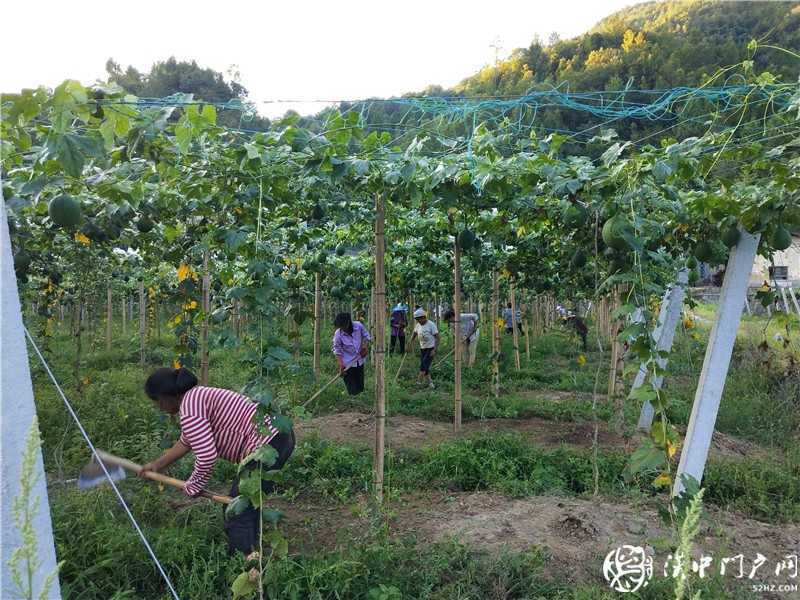  揚百年榮光·看紅色天漢 ——網絡媒體重走紅軍路主題采訪走進鎮巴縣黎壩鎮