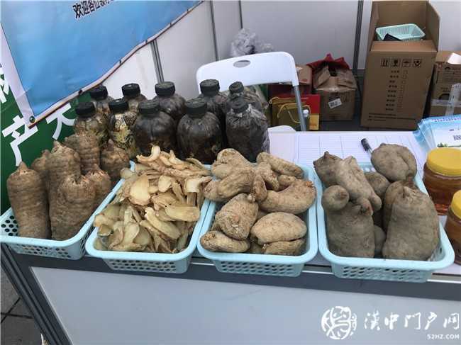 寧強縣第三屆天麻貿易洽談會暨天麻產業發展論壇今日開幕！