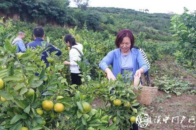 漢中市醫(yī)保局聯(lián)合開展消費扶貧和團隊建設活動