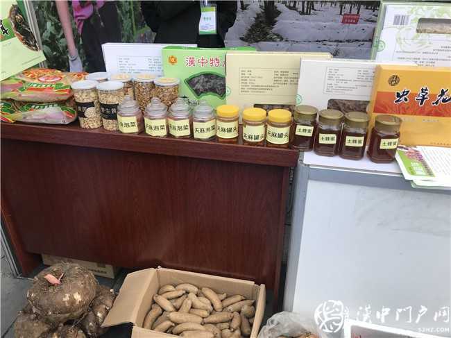 寧強縣第三屆天麻貿易洽談會暨天麻產業發展論壇今日開幕！