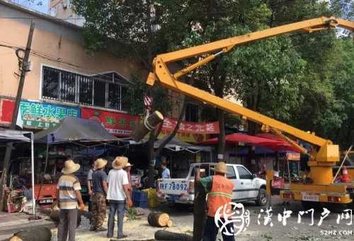 漢中市區(qū)一棵10米大樹(shù)突然傾倒，刮倒高壓線，所幸無(wú)人傷亡