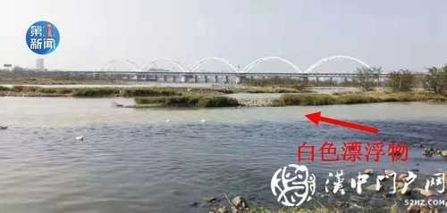 漢江面漂有白色“污染物” ？官方回應！