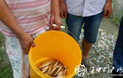 三人在河道非法電魚，被寧強民警抓個正著