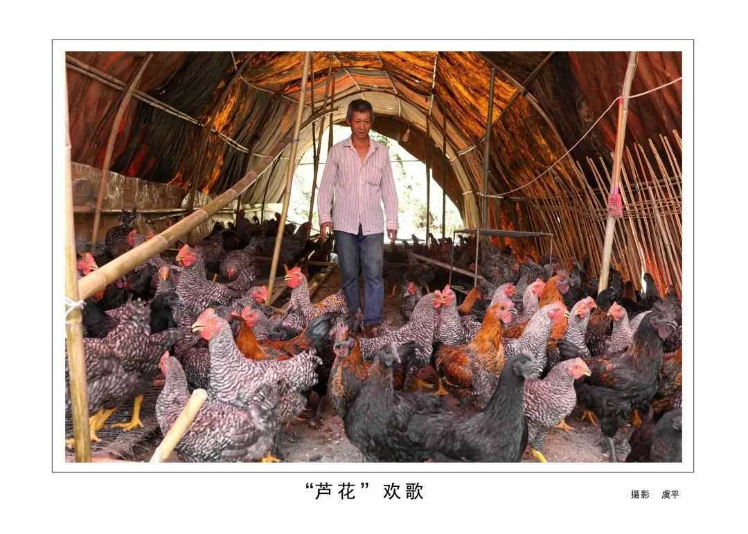 1175戶、34466人脫貧！漢臺區(qū)做了這些......"