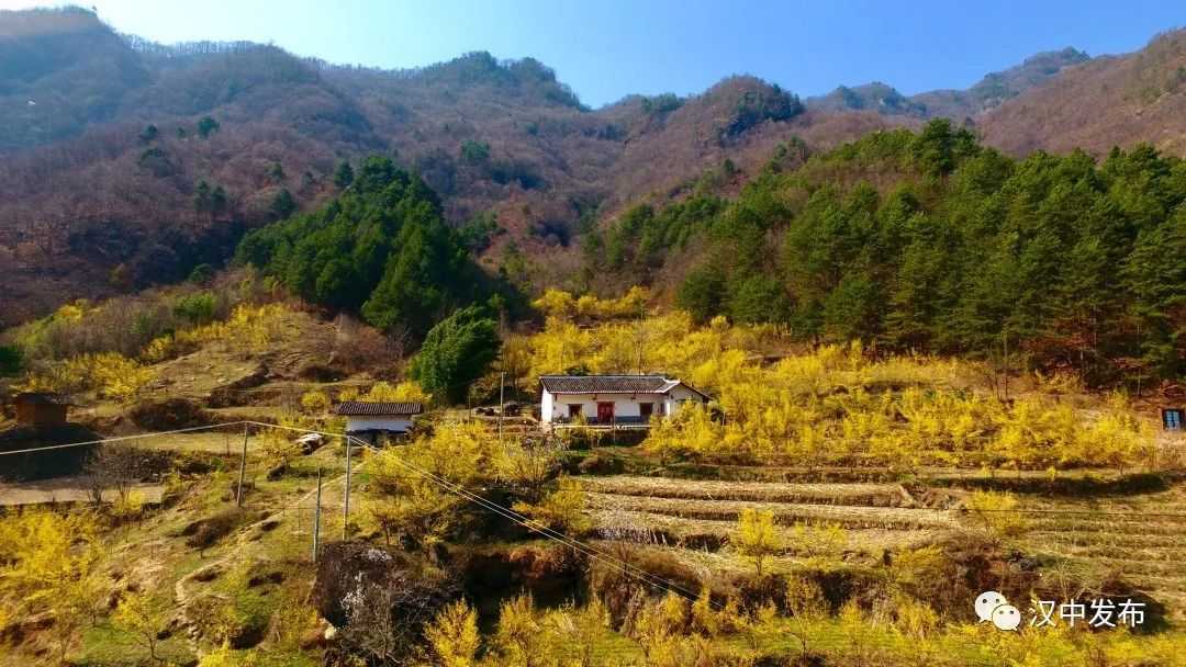 “金窩窩”“銀窩窩”不如這里的“沙窩窩”