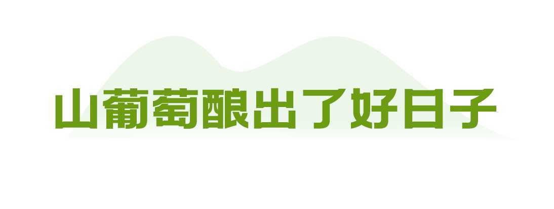 向總書記報(bào)告丨金鞍躍馬好揚(yáng)鞭