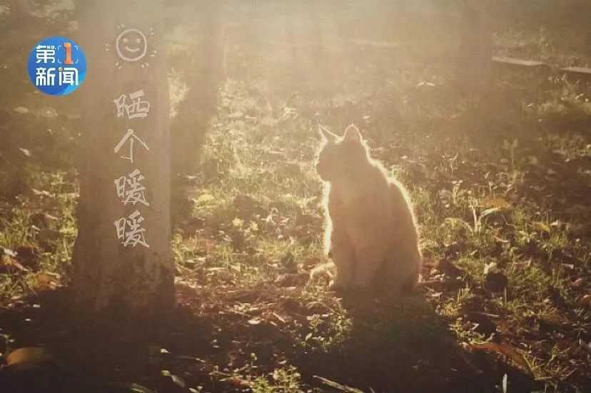 室內溫度比室外高28℃！漢中別羨慕，市政集中供暖真的來了！