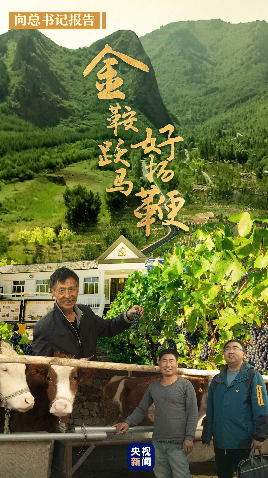 向總書記報(bào)告丨金鞍躍馬好揚(yáng)鞭