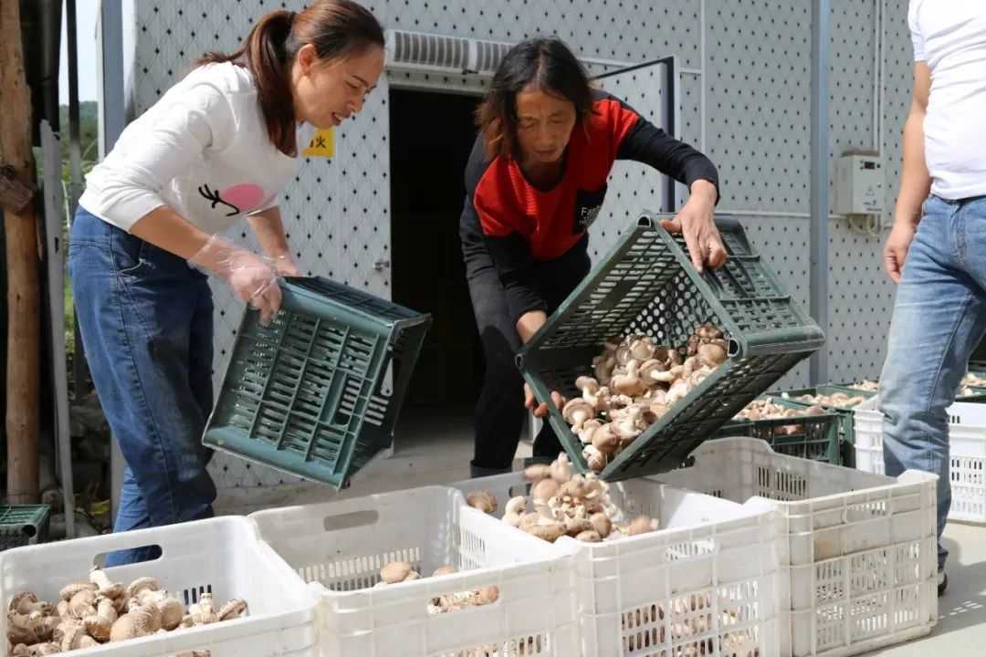 全市唯一，國家授牌
