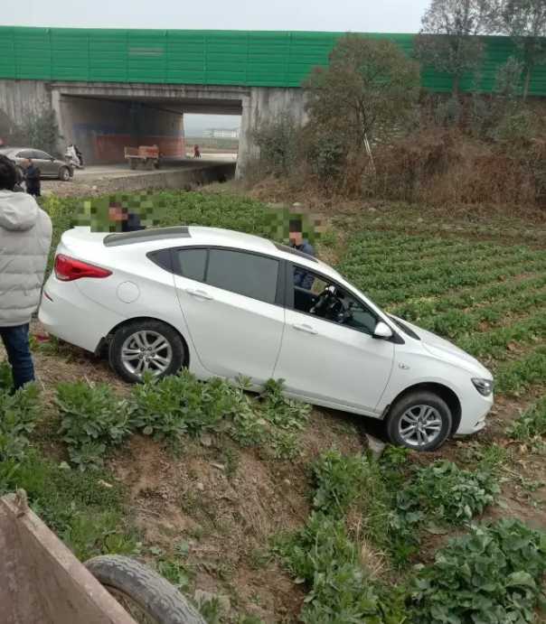 漢中一輛汽車開到油菜田里了！