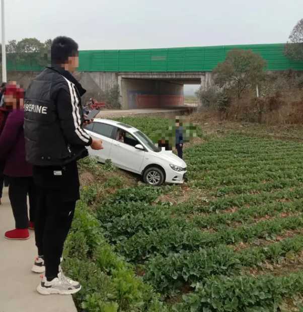 漢中一輛汽車開到油菜田里了！