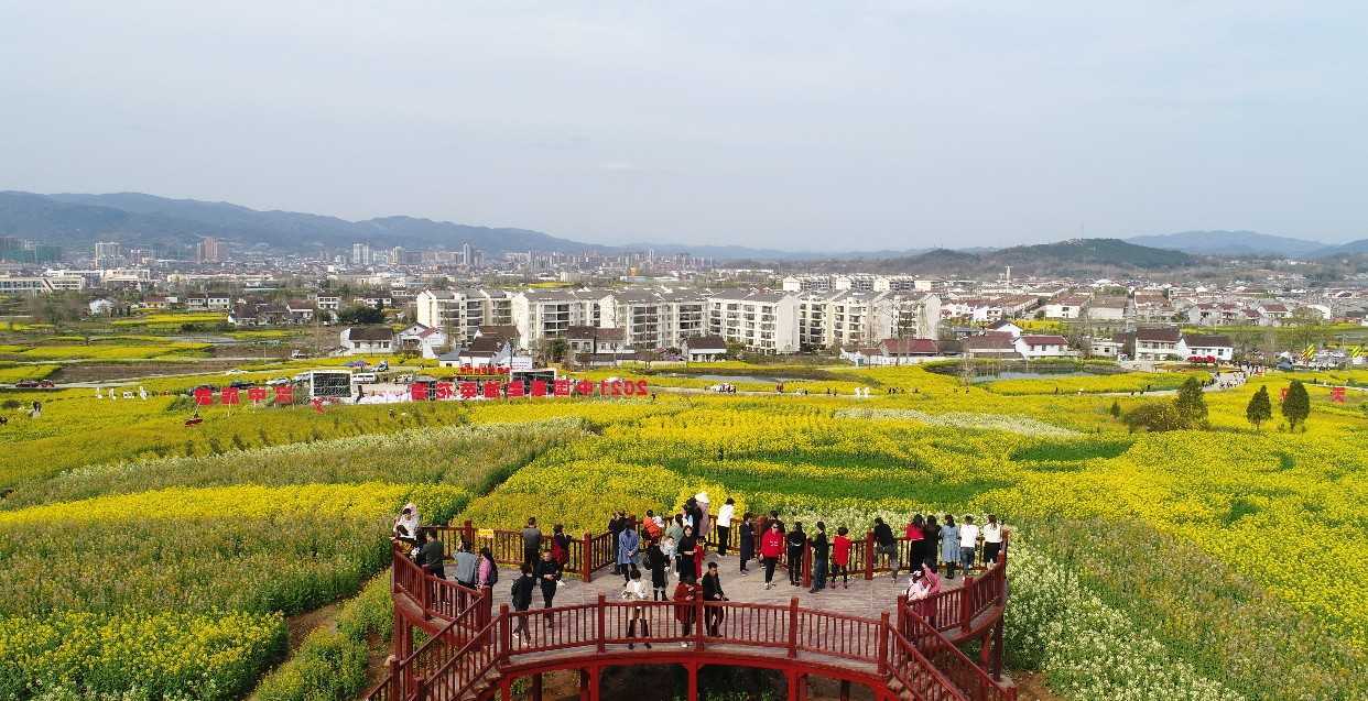 021中國最美油菜花海漢中旅游文化節在西鄉縣盛大啟動"