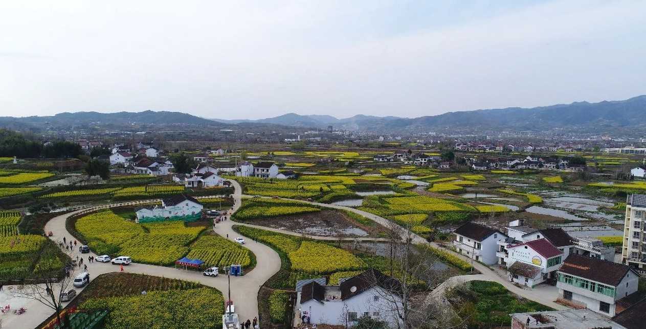 021中國最美油菜花海漢中旅游文化節在西鄉縣盛大啟動"