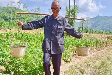 感動(dòng)！寧強(qiáng)88歲老黨員捐2萬(wàn)特殊黨費(fèi)表初心