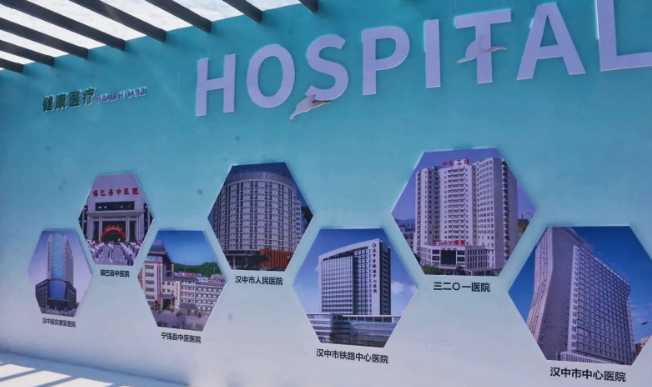 中醫藥發展高峰論壇暨首屆西北道地藥材博覽會在漢中舉行