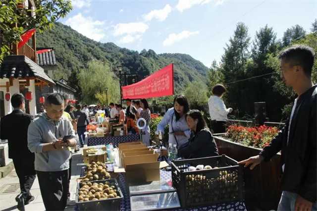 又是一年豐收時，留壩縣第四屆農(nóng)民豐收節(jié)今日正式開幕！