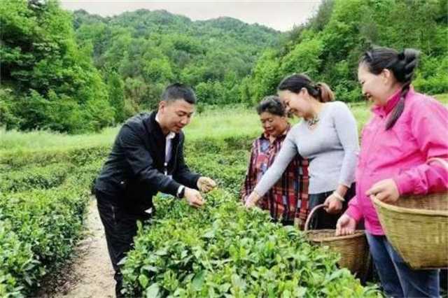 中央電視臺來漢中啦！只為這位85后