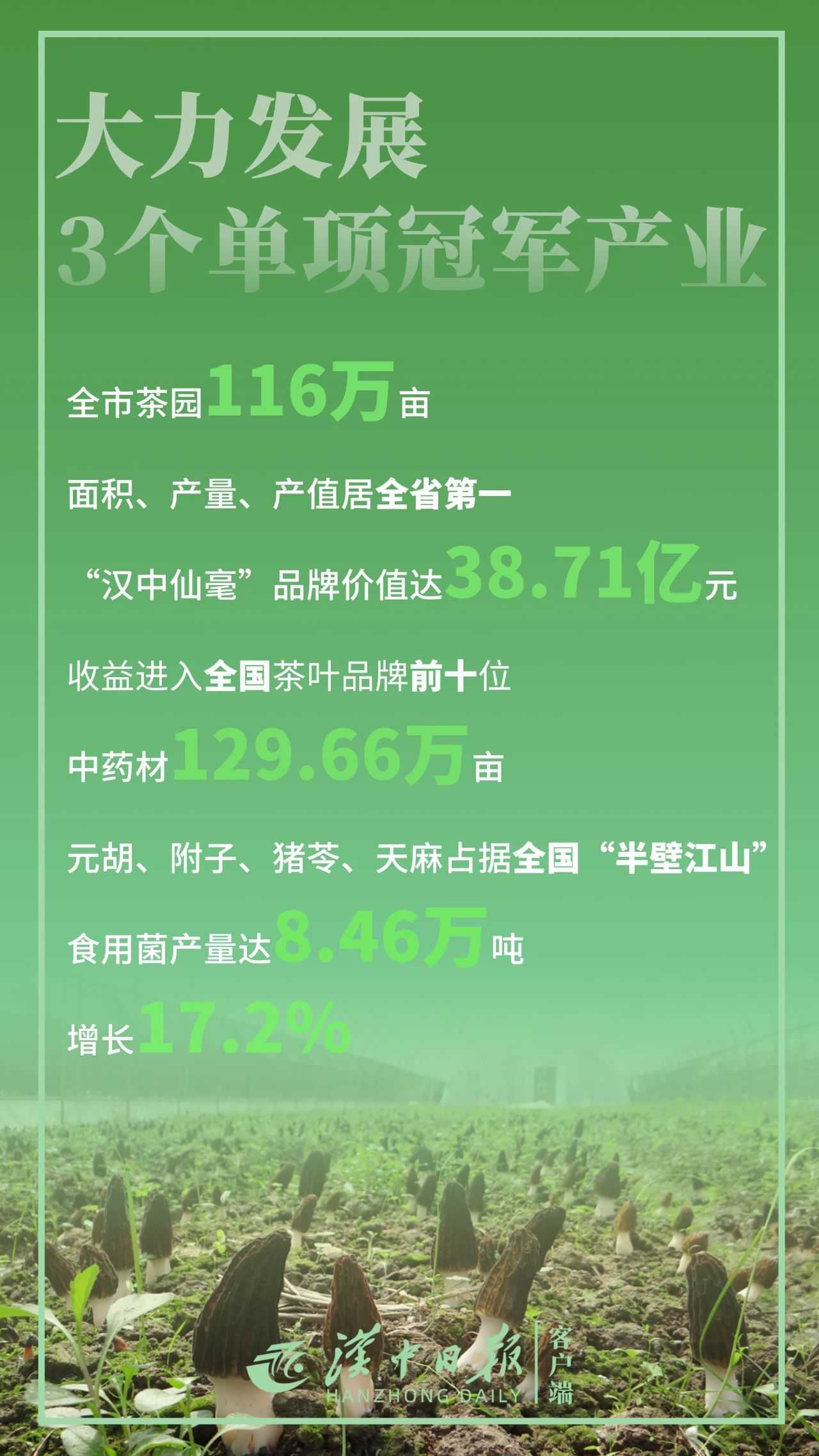 驕傲！帶你直擊漢中“成績單”！