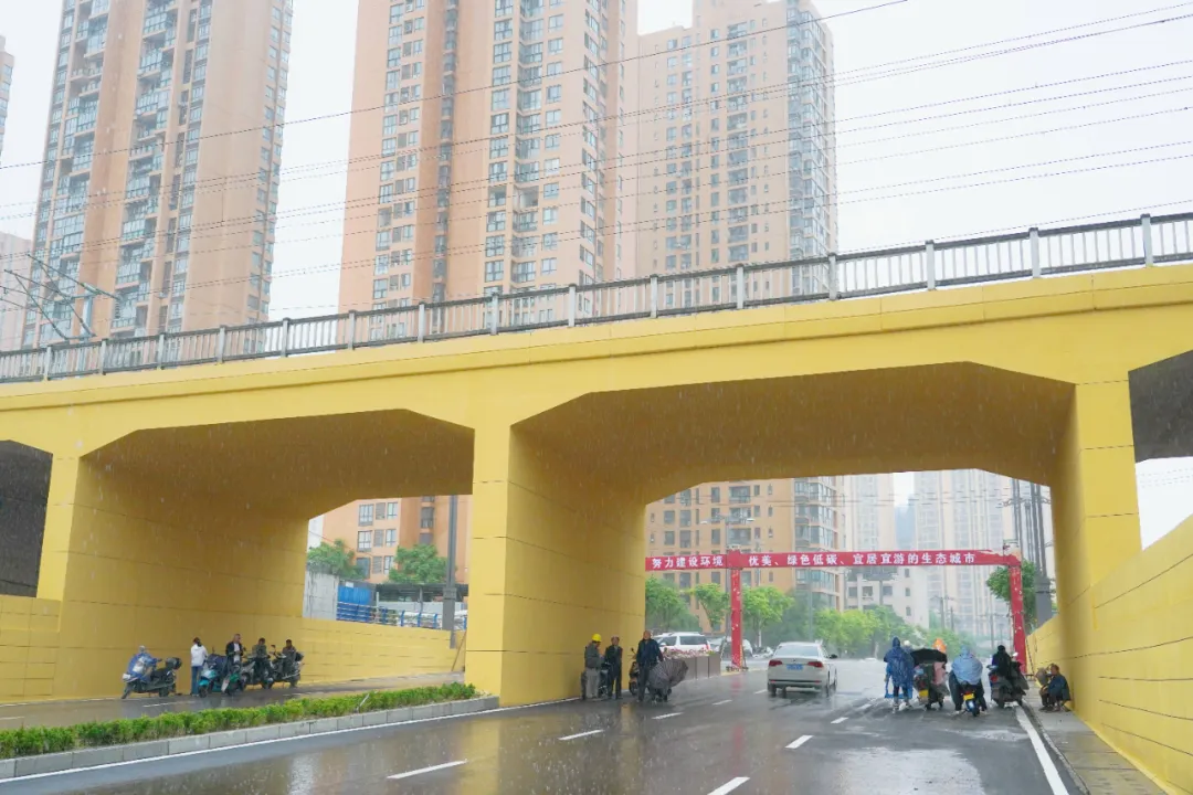 出行方便了！漢中興漢新區(qū)惠府路主車道通車！