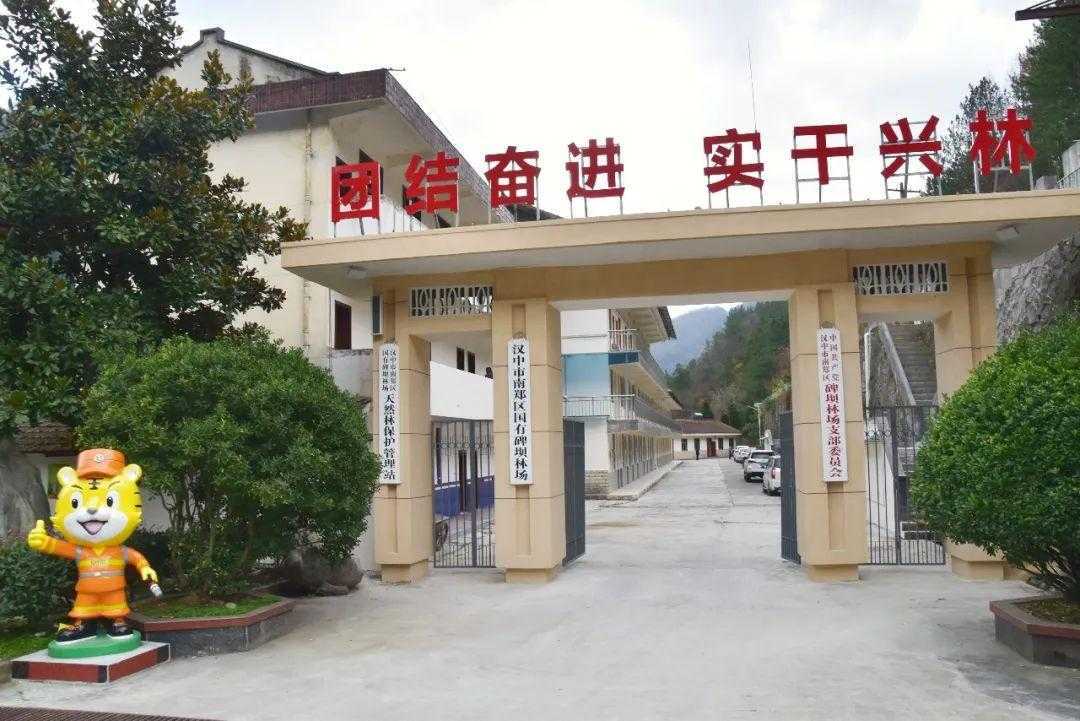 國家級榮譽！漢中這個林場入選→