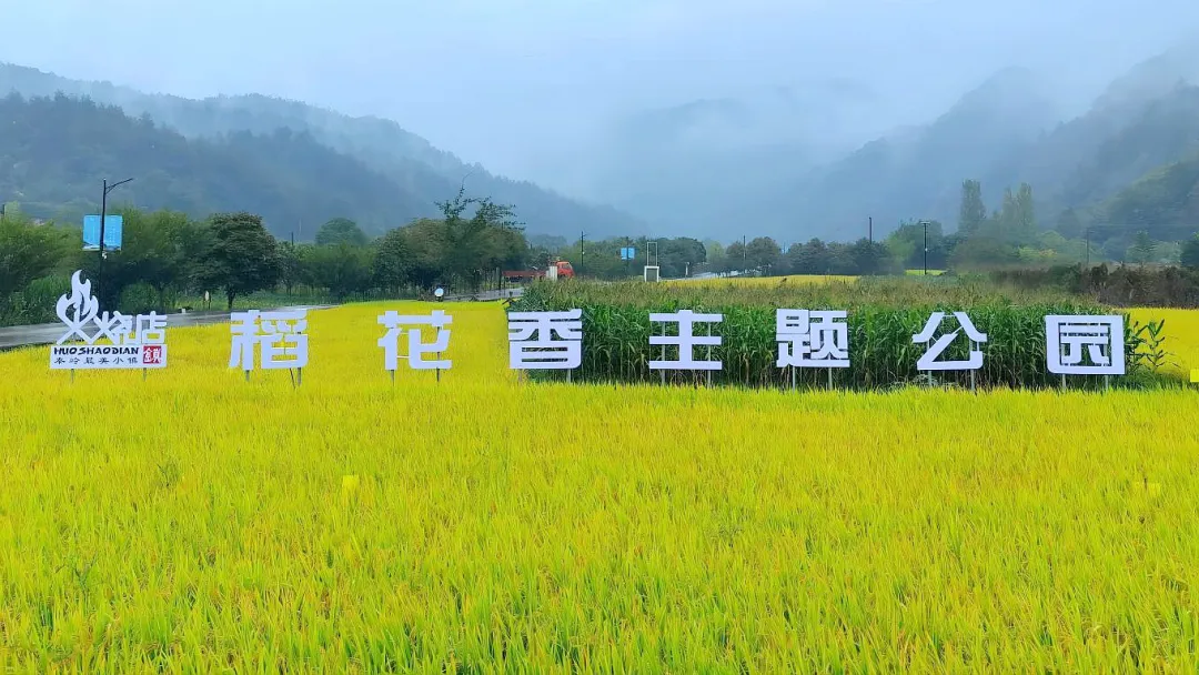 點贊！留壩休閑農業發展經驗在全省交流