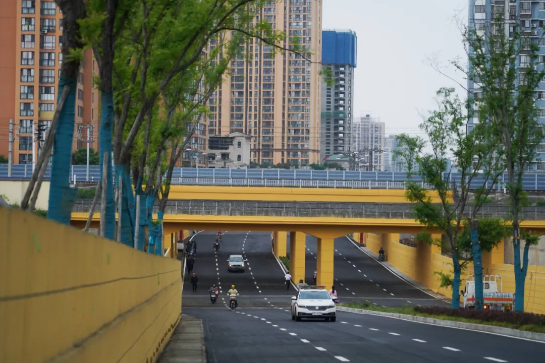 出行方便了！漢中興漢新區(qū)惠府路主車道通車！