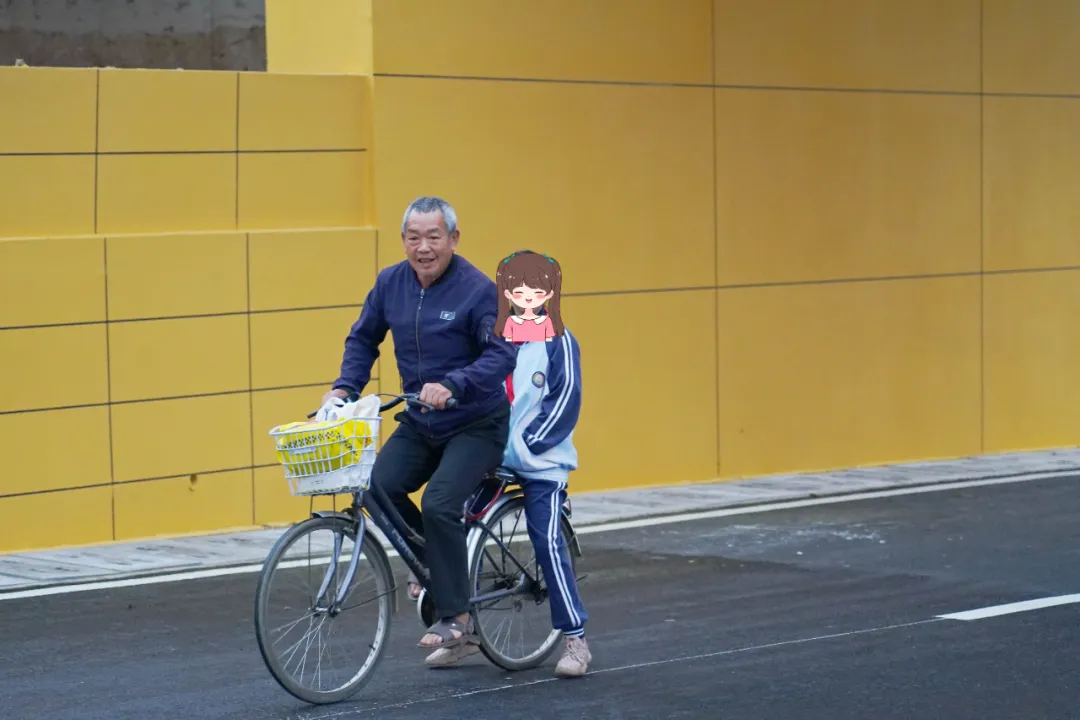 出行方便了！漢中興漢新區(qū)惠府路主車道通車！